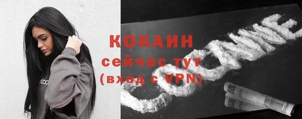 крисы Белокуриха