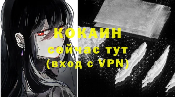 крисы Белокуриха