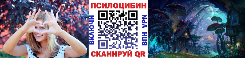 блэк спрут зеркало  Губкинский  Галлюциногенные грибы Psilocybe 